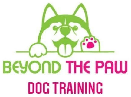 Beyond the Paw — Dog Training